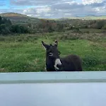 بيت للعطل Entire In Tipperary