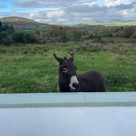 Дом отдыха Entire In Tipperary