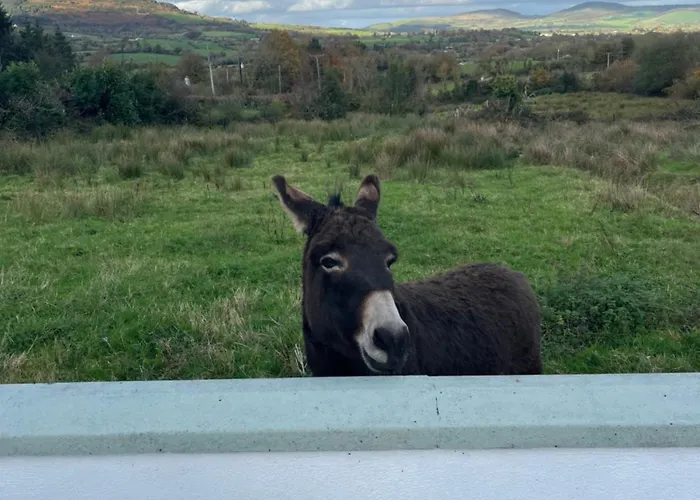 Holiday home Entire In Tipperary
