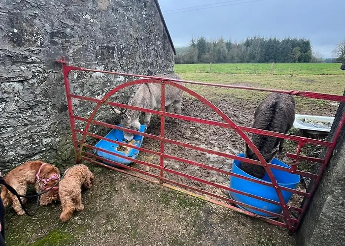 Entire In Tipperary Holiday home