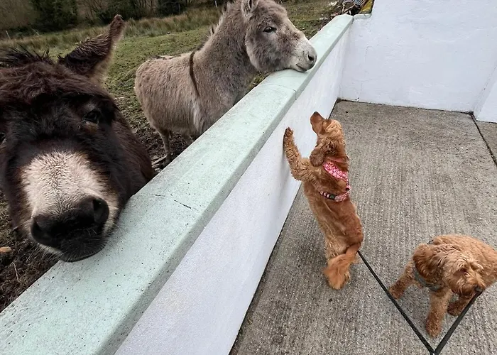 Holiday home Entire In Tipperary *